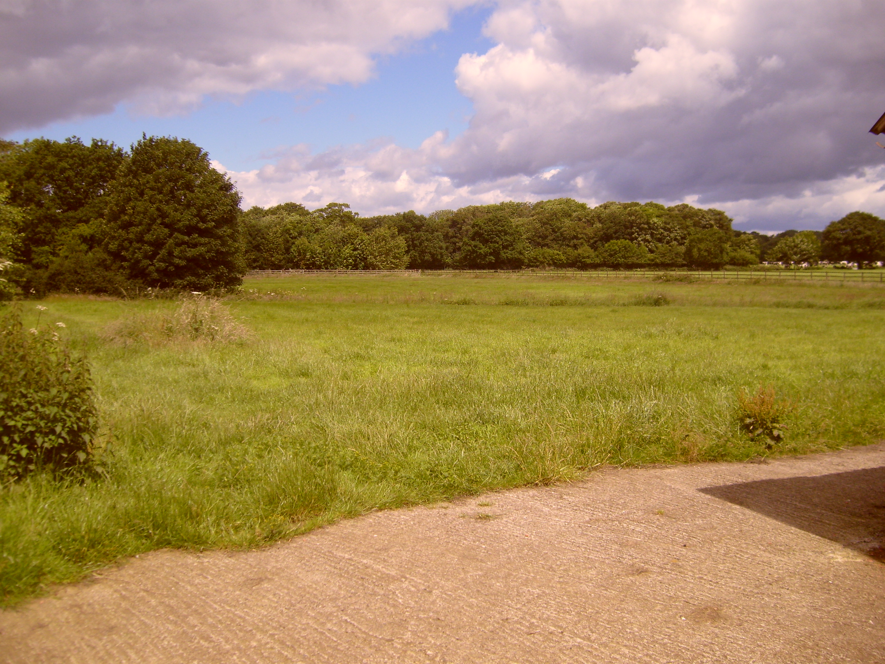 S7000453.JPG